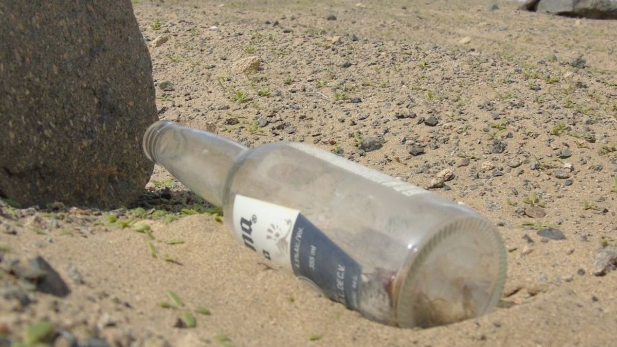Una botella de cerveza en el desierto, el reflejo del daño a la naturaleza del ser humano