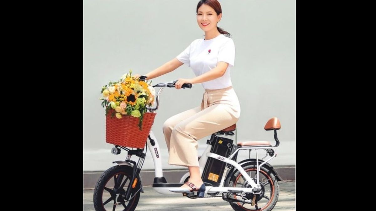 Nueva apuesta de Xiaomi: una bicicleta eléctrica para dos pasajeros y 50 kilómetros de autonomía