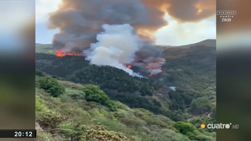 El fuego avanza sin control en Gran Canaria: más de 1700 hectáreas asoladas y 4000 evacuados