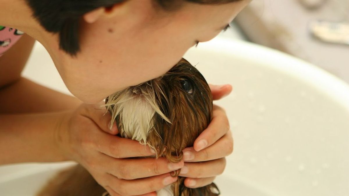 El peligro de besar nuestras mascotas: amputan las extremidades a una mujer por un 'lametazo' de su perro
