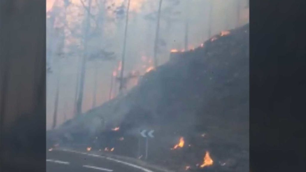 Gran Canaria vive un verano arrasada por los incendios