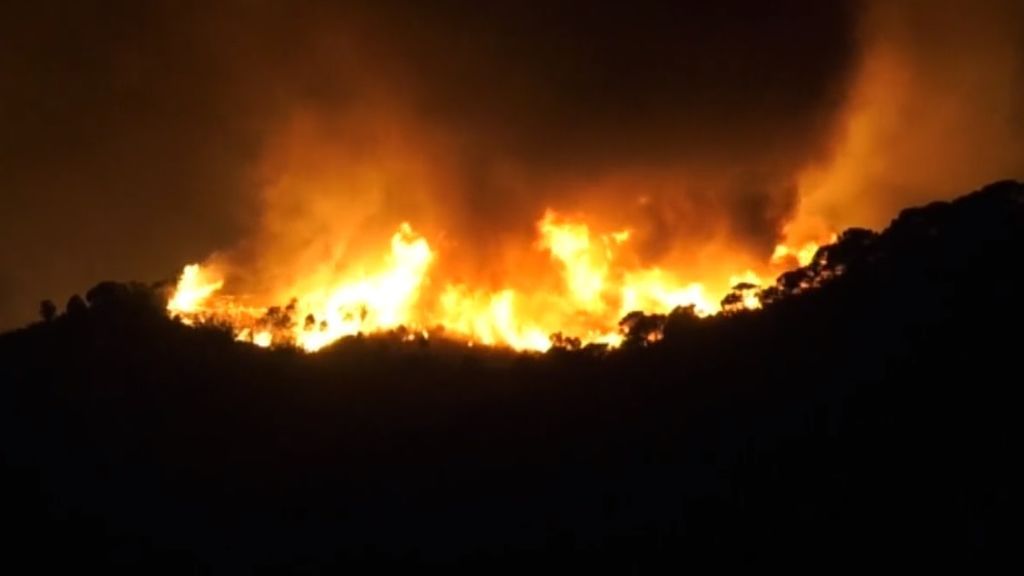 Hasta 800 viviendas desalojadas y 290 hectáreas calcinadas en un incendio que amenaza a Estepona