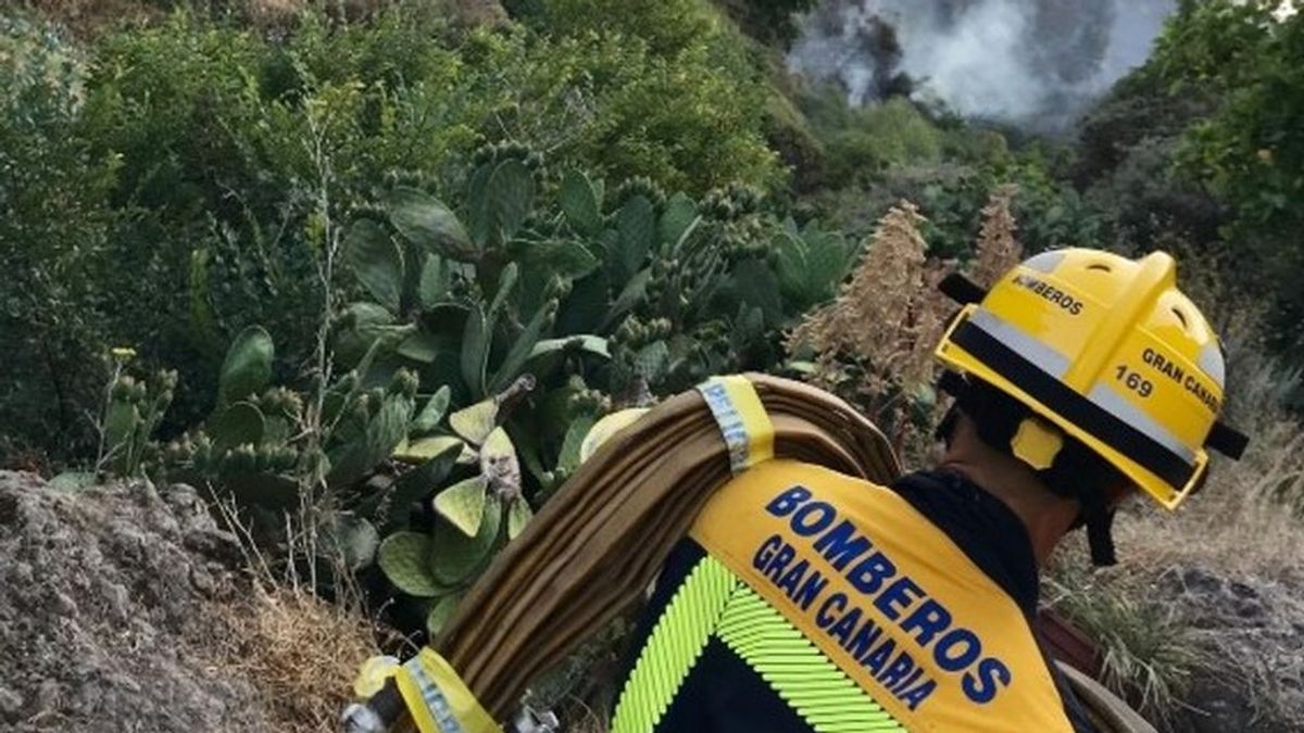 La recuperación completa del incendio del centro de Gran Canaria tardará "al menos 20 años"