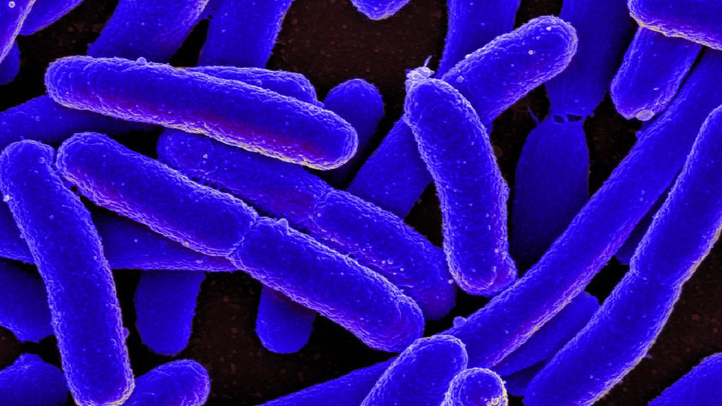 listeriosis