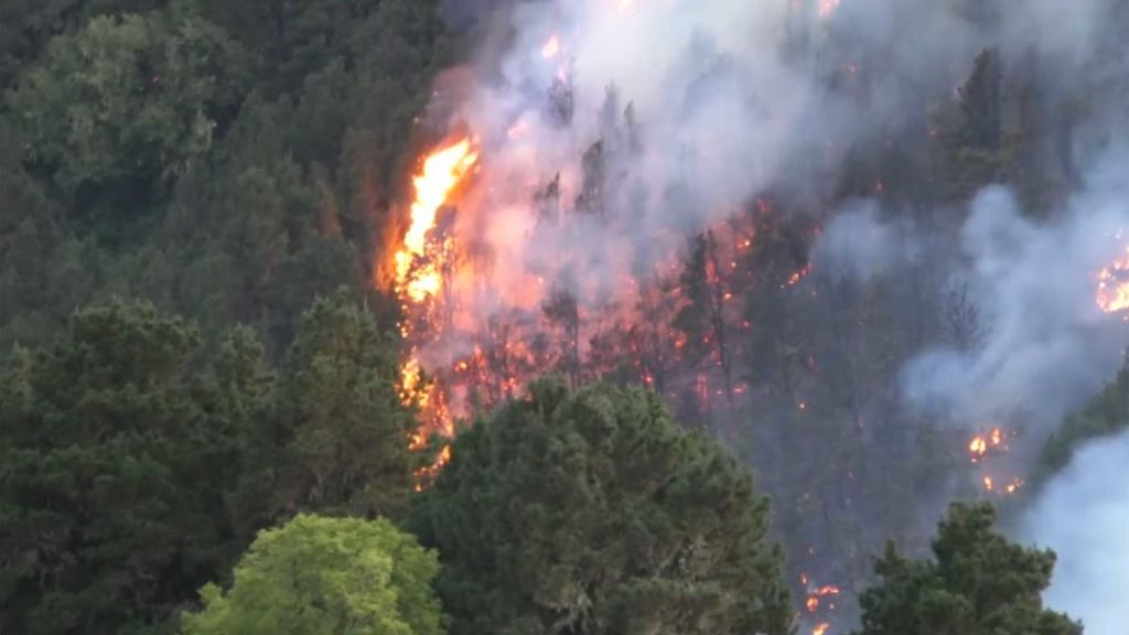 Más de 9.000 desalojados y 12.000 hectáreas arrasadas en el incendio de Gran Canaria