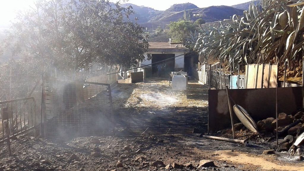 Los vecinos de Gran Canaria regresan a sus casas ante un paisaje desolador
