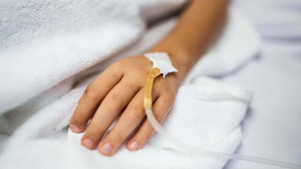 Listeria: así es la bacteria que ha desatado la alerta en Andalucía Listeria: así es la bacteria que ha desatado la alerta en Andalucía