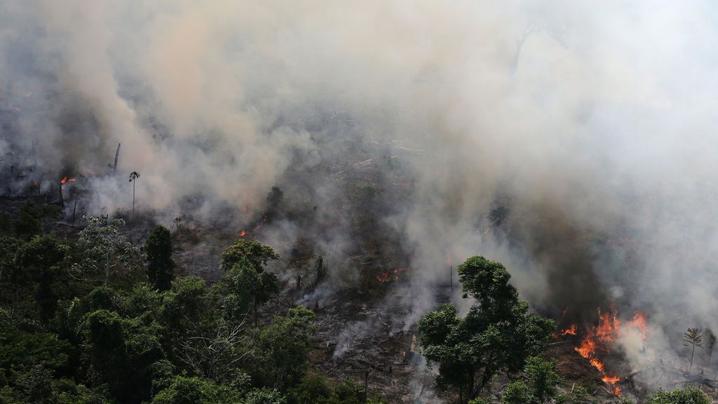 Las llamas del Amazonas arrasan con el ecosistema brasileño un 80% más que en 2018 y Bolsonaro culpa a las ONG´s