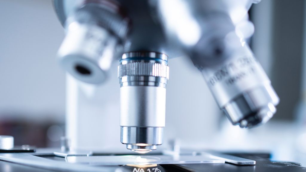 La Listeria se sigue propagando en medio de la polémica por la tardanza en detectarla La Listeria se sigue propagando en medio de la polémica por la tardanza en detectarla