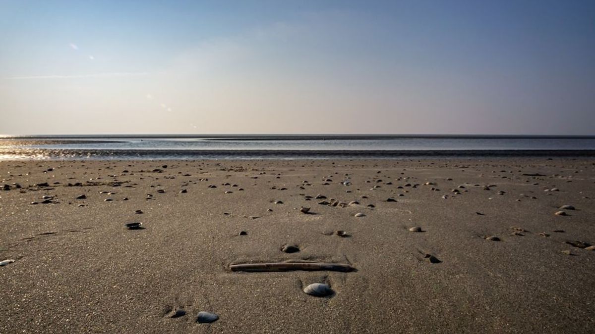 Playa de arena o de piedra: ventajas o inconvenientes