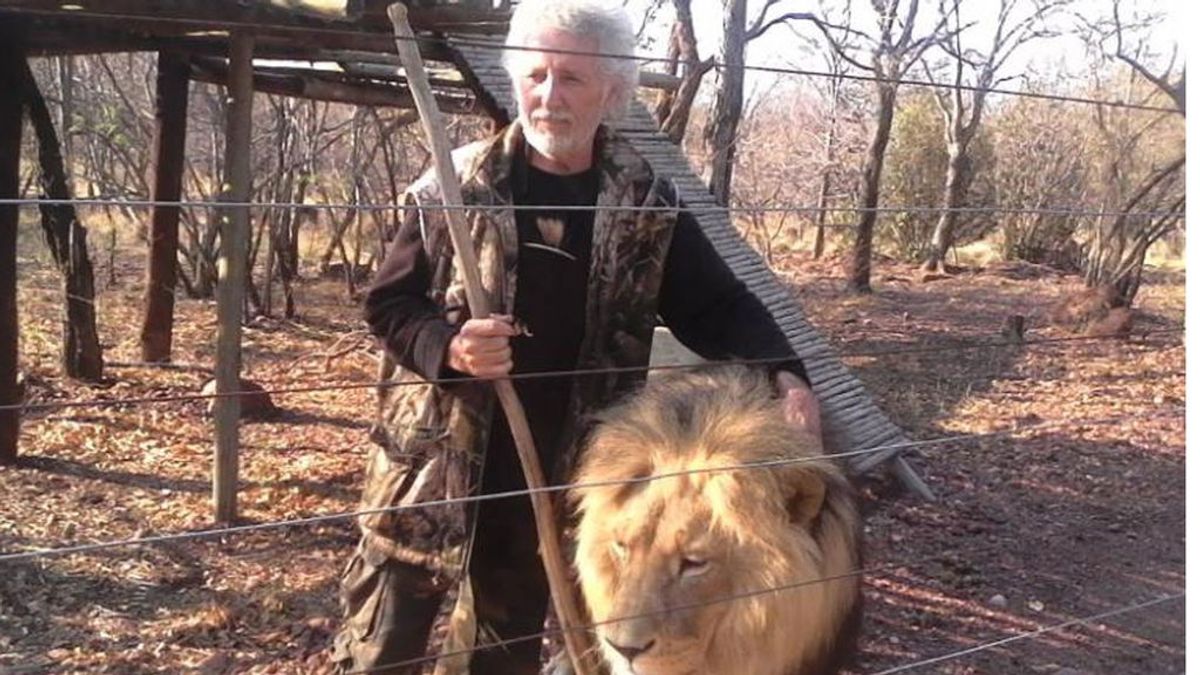 Matan a tiros a tres leones que atacaron mortalmente a su cuidador en una reserva en Sudáfrica