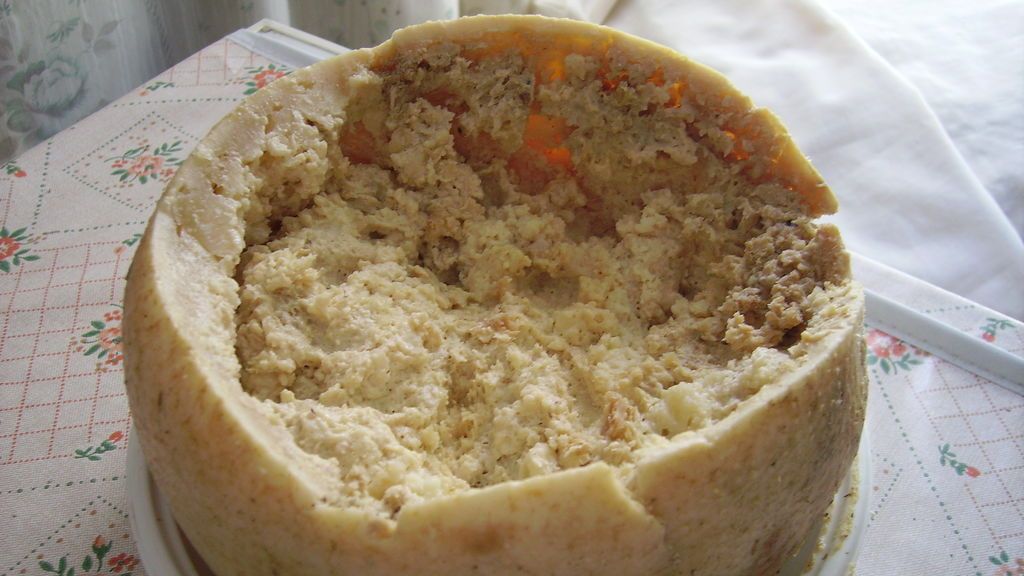 Casu_Marzu_cheese