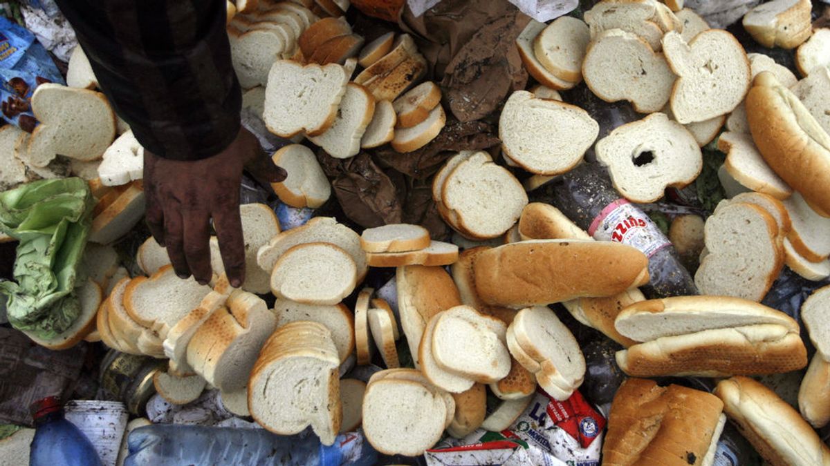 Los hogares españoles desperdician un 4,3 % de todo el pan que se compra, según un estudio