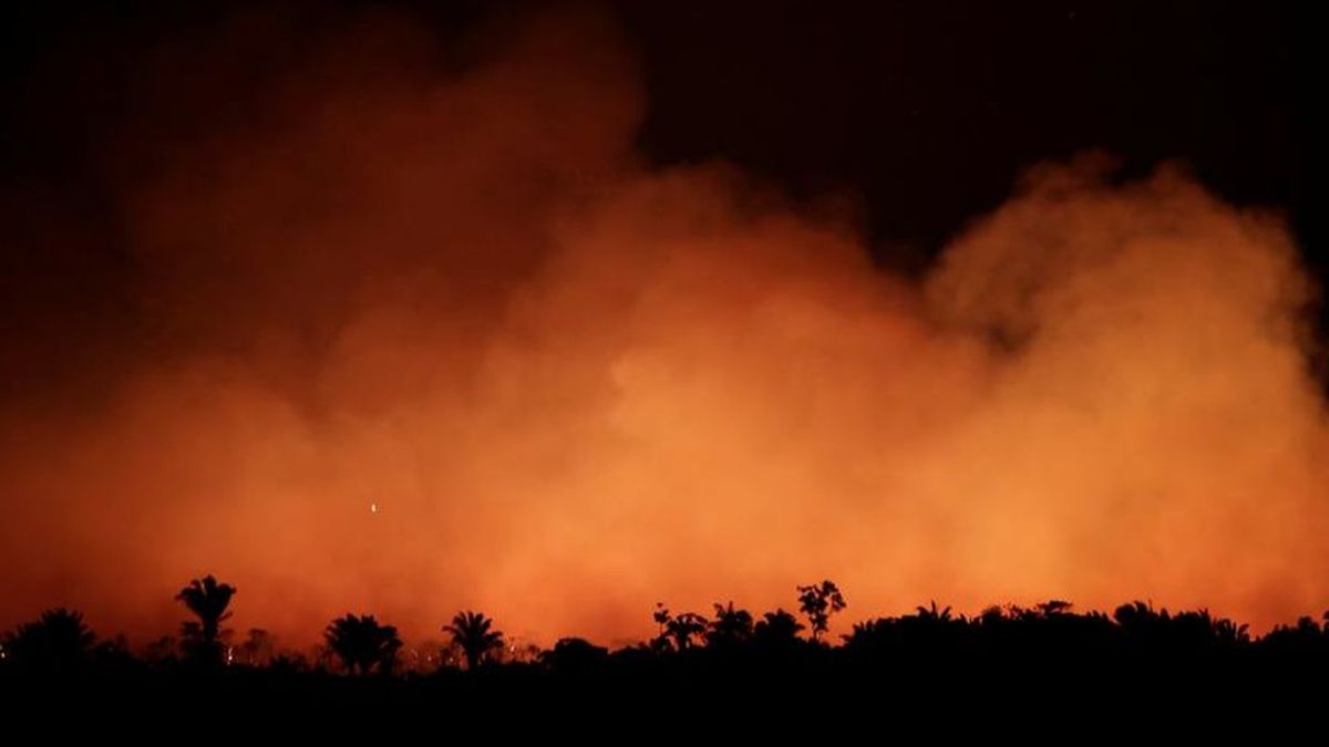 Varios estados de Brasil solicitan ayuda militar para combatir los incendios forestales en el Amazonas