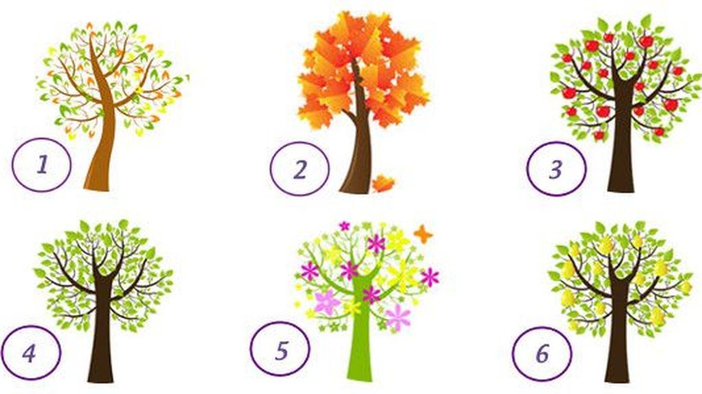 test-arboles-ritmo