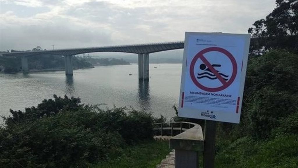Cierran el marisqueo en la confluencia entre el río Eo y el arroyo Ouría por el vertido de purín Cierran el marisqueo en la confluencia entre el río Eo y el arroyo Ouría por el vertido de purín