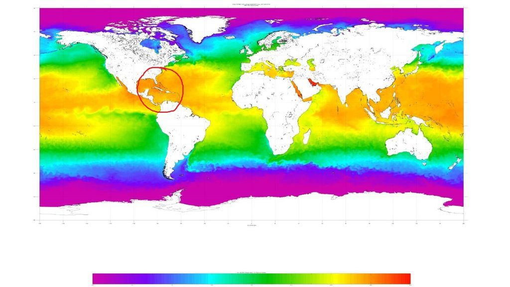 sea surface temperature