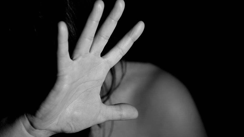 Puesto en libertad el varón detenido en Álava por retener y amenazar a su pareja con un hacha Puesto en libertad el varón detenido en Álava por retener y amenazar a su pareja con un hacha