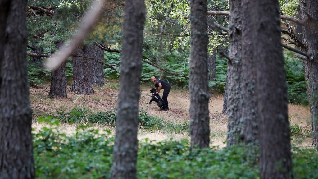 La búsqueda de Blanca Fernández Ochoa, en imágenes