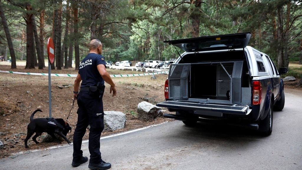 La búsqueda de Blanca Fernández Ochoa, en imágenes