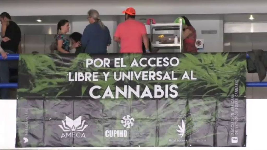 México celebra la Expoweed y pide la comercialización terapéutica del cannabis a nivel mundial