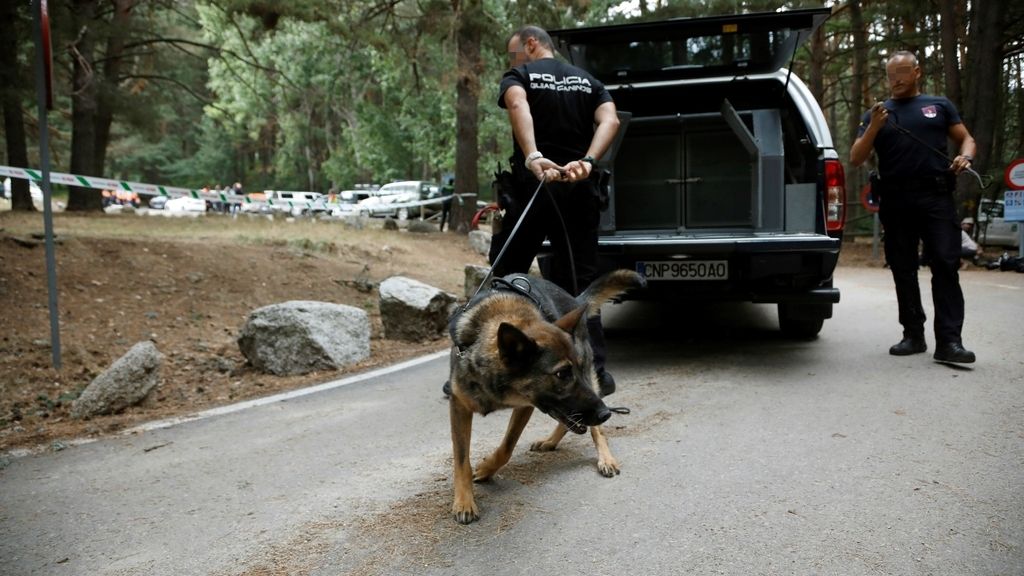 La búsqueda de Blanca Fernández Ochoa, en imágenes
