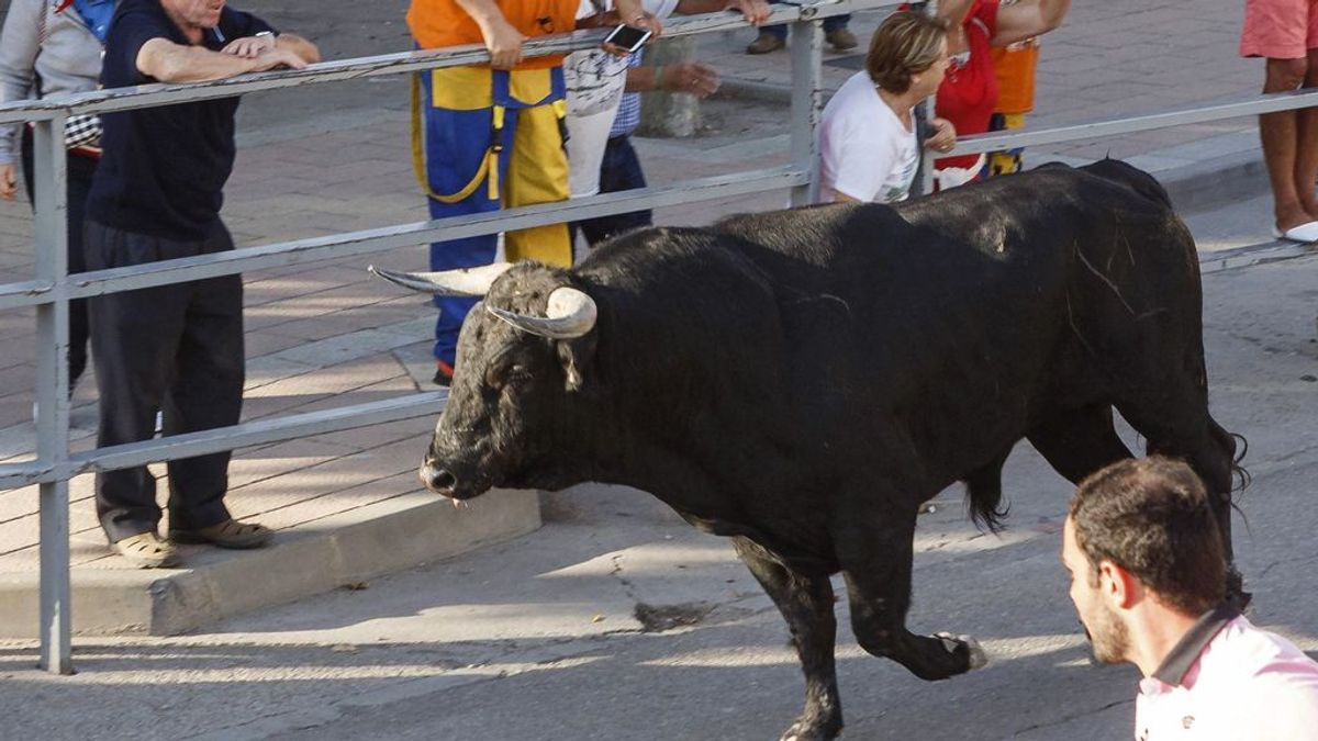 Muere un hombre tras sufrir una cogida de toro en Castellón