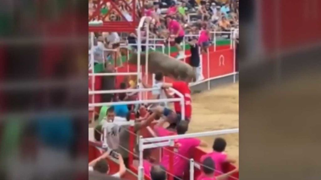 Pánico en los correbou de Videres después de que un toro saltara hasta el público