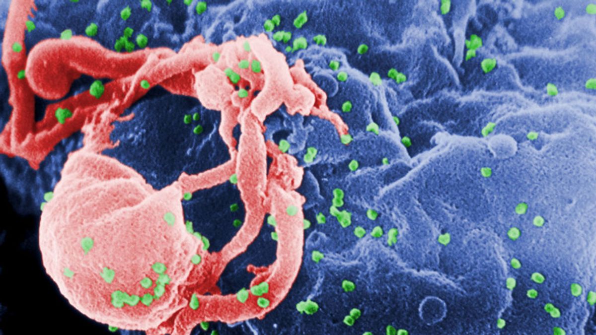 Biólogos desarrollan un mapa que muestra al detalle cómo los virus infectan a los humanos