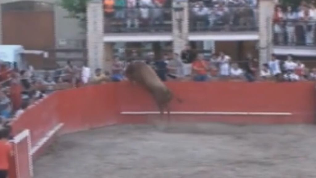Un toro siembra el pánico en las fiestas de Caparroso tras saltar la vallas del recinto