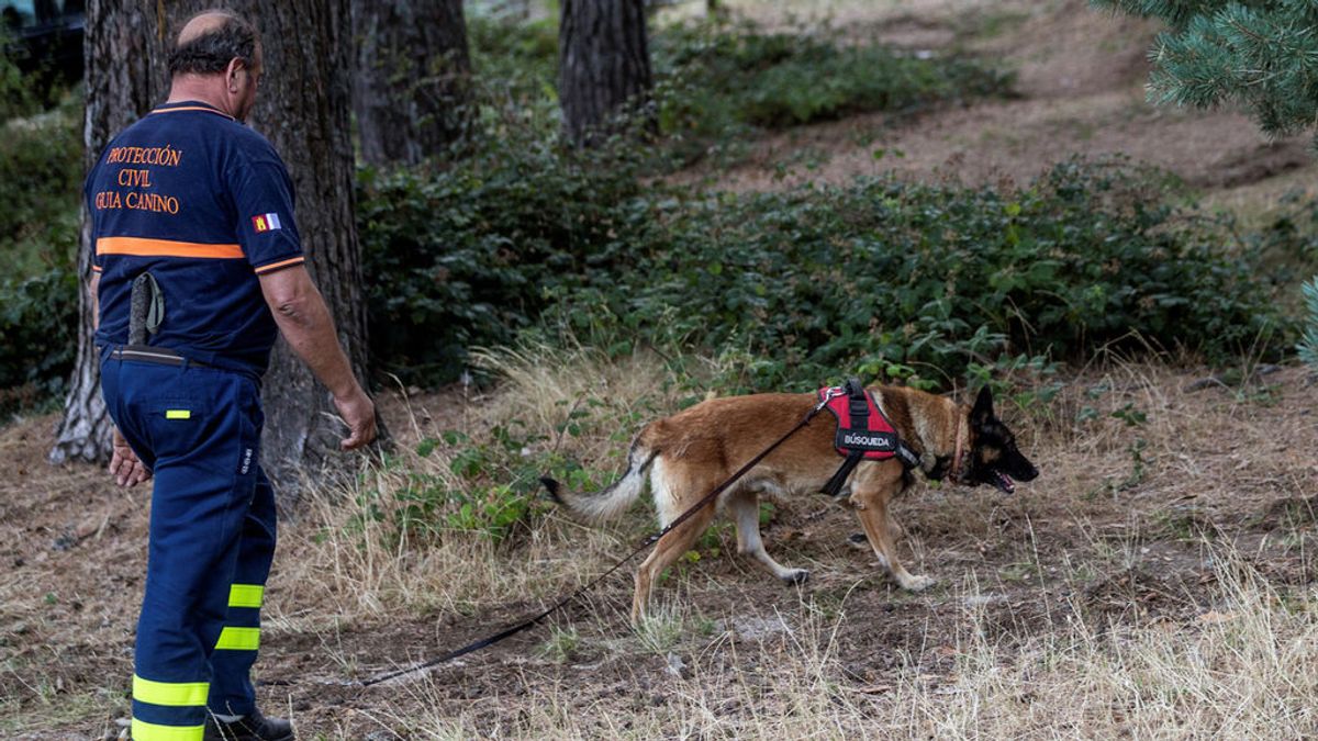 Así trabajan los equipos caninos en la búsqueda de Blanca Fernández Ochoa y otros desaparecidos
