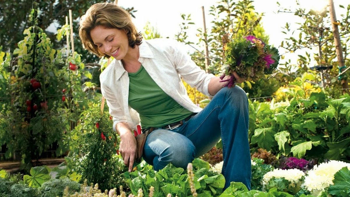 Por qué la jardinería puede ser más eficaz para combatir la ansiedad y la depresión que los medicamentos