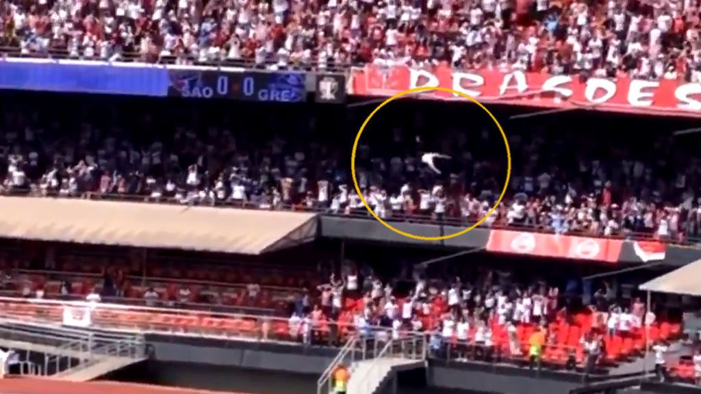 Un espectador cae desde las gradas más altas en un estadio de Brasil