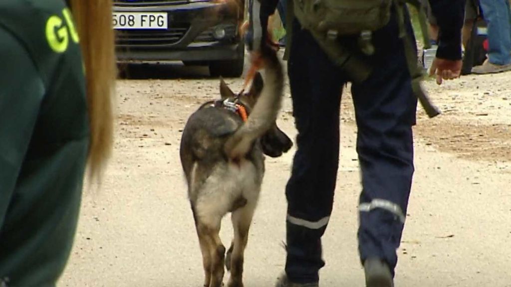 Búsqueda de Blanca Fernández Ochoa: Los rastros que marcaron los perros eran una “falsa alarma”