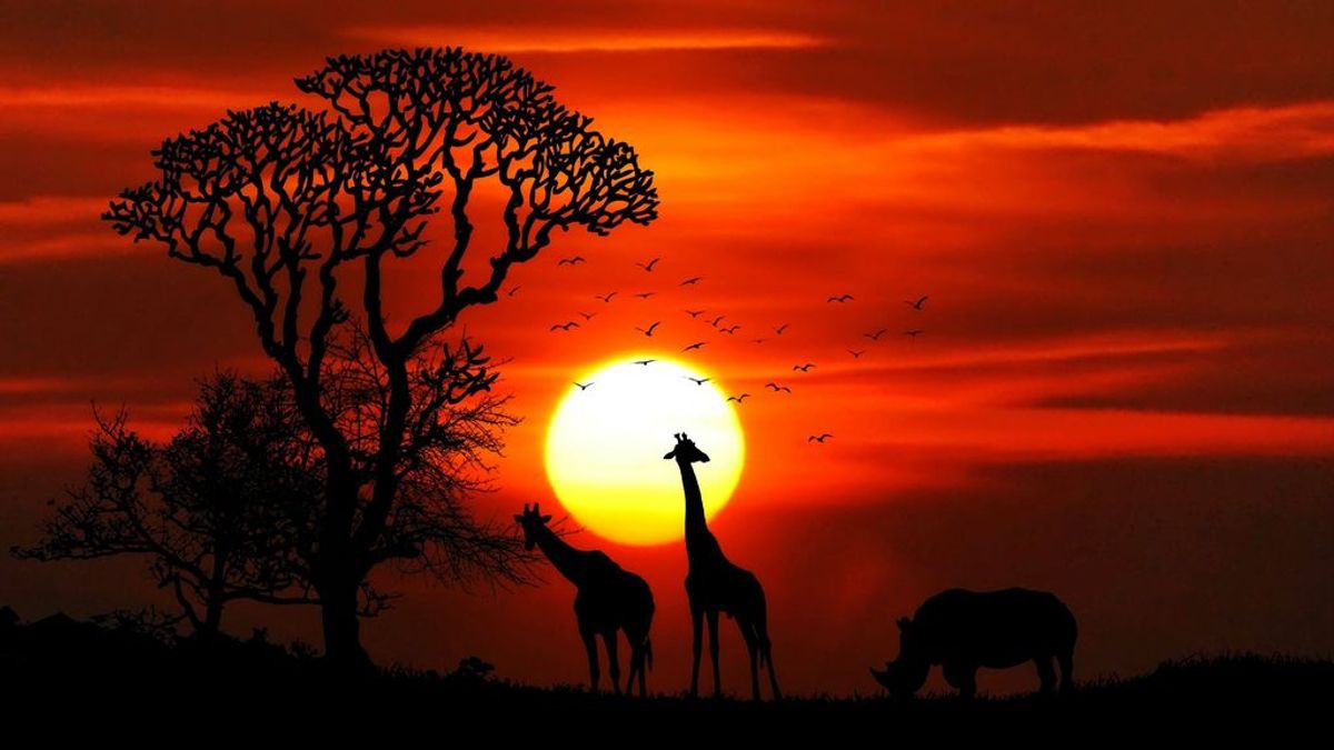 El corazón de África está en llamas (pero el verdadero problema es la sequía) El corazón de África está en llamas (pero el verdadero problema es la sequía)