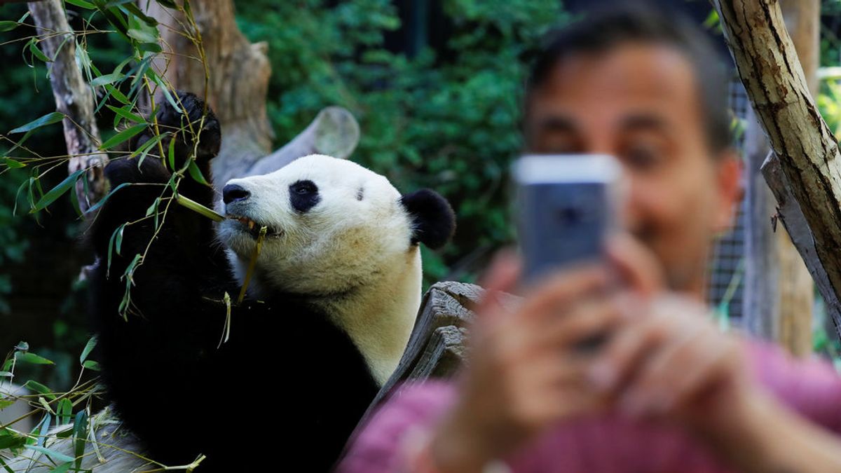 Selfis perjudiciales para nuestra biodiversidad Selfis perjudiciales para nuestra biodiversidad