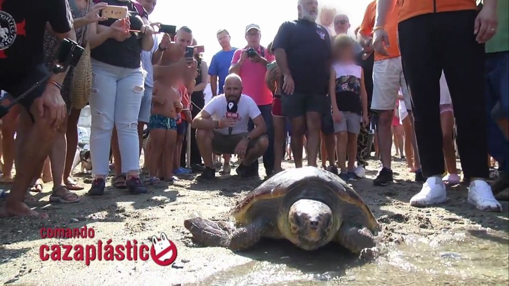 Una tortuga vuelve al mar después de que le sacaran todo el plástico de su interior