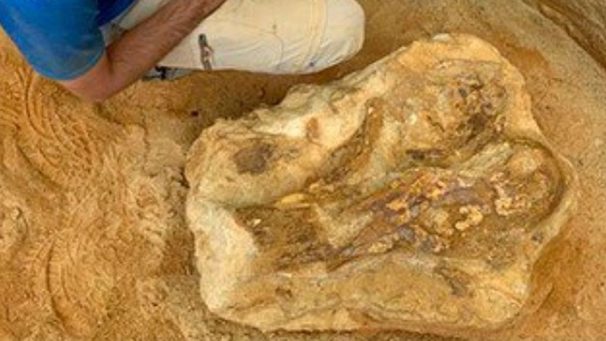 Dinosaurios y cocodrilos vivieron en Guadalajara hace 95 millones de años