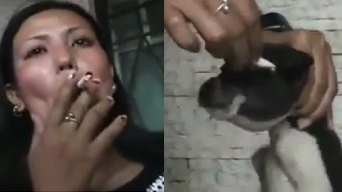 Indignación en la Red por un vídeo de maltrato animal: una mujer apaga un cigarrillo en los ojos de un cachorro