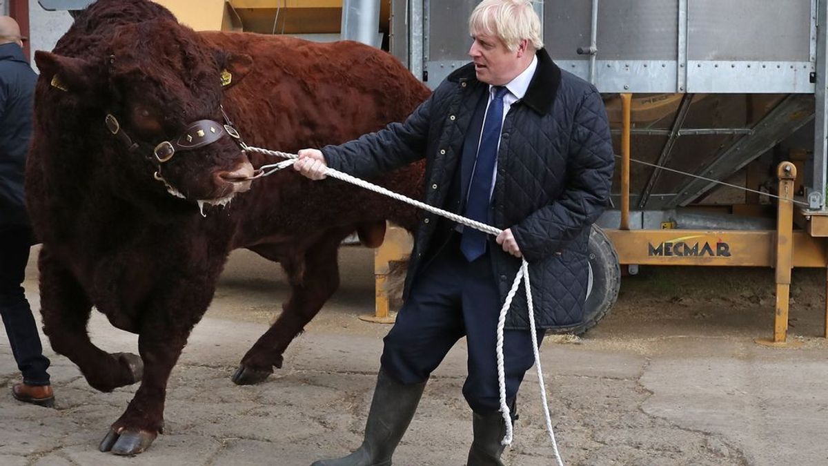 A Boris Johnson le pilla el 'toro' del brexit A Boris Johnson le pilla el 'toro' del brexit