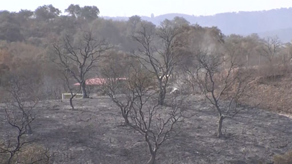 Estabilizado el incendio de El Ronquillo, Sevilla, tras arrasar 120 hectáreas