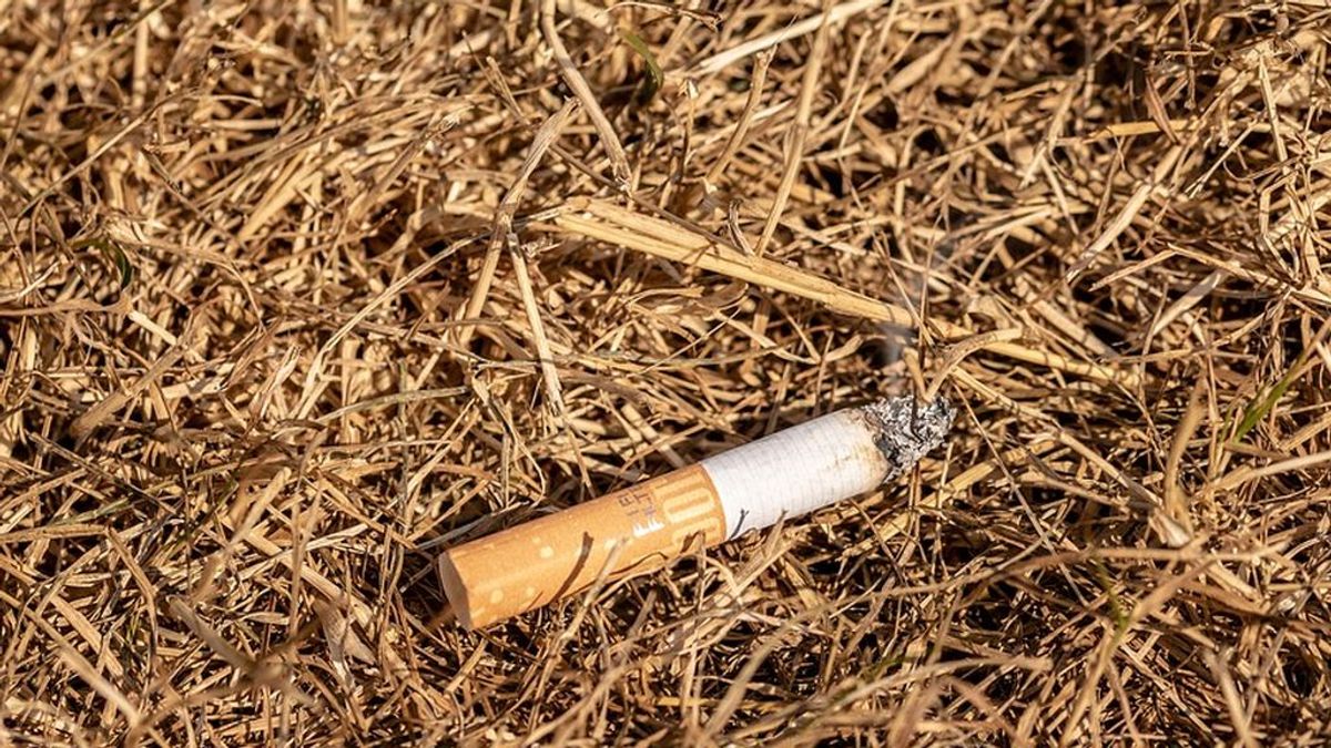 ¿Estás de acuerdo con que se multe a los fumadores que tiren colillas al suelo?