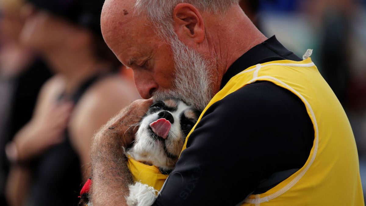¿Tributar impuestos por tener perro? ¿Tributar impuestos por tener perro?