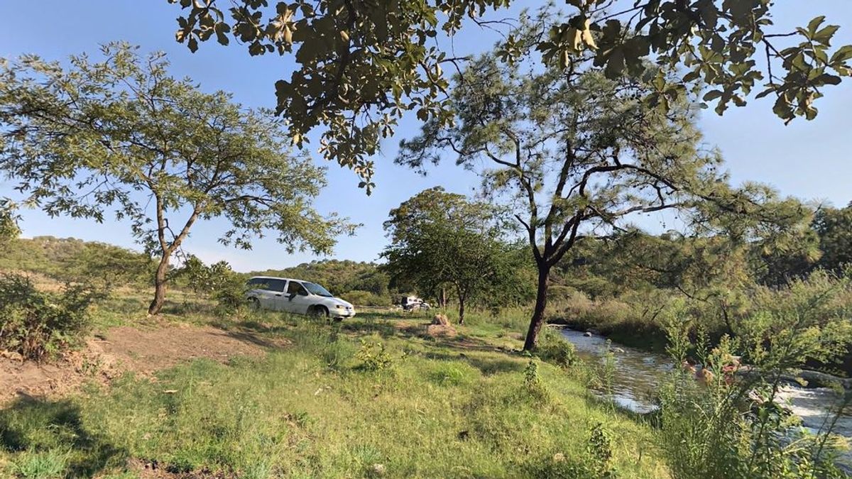 Encuentran 75 bolsas con los cuerpos descuartizados de 8 personas en un bosque de México