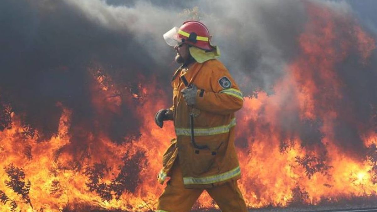 Un bombero trabaja para contener el incendio forestal en Angourie, Nueva Gales del Sur (Australia)