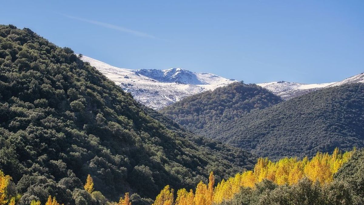 Primeros copos en Sierra Nevada: Granada se cubre de blanco a partir de los 2.600 metros