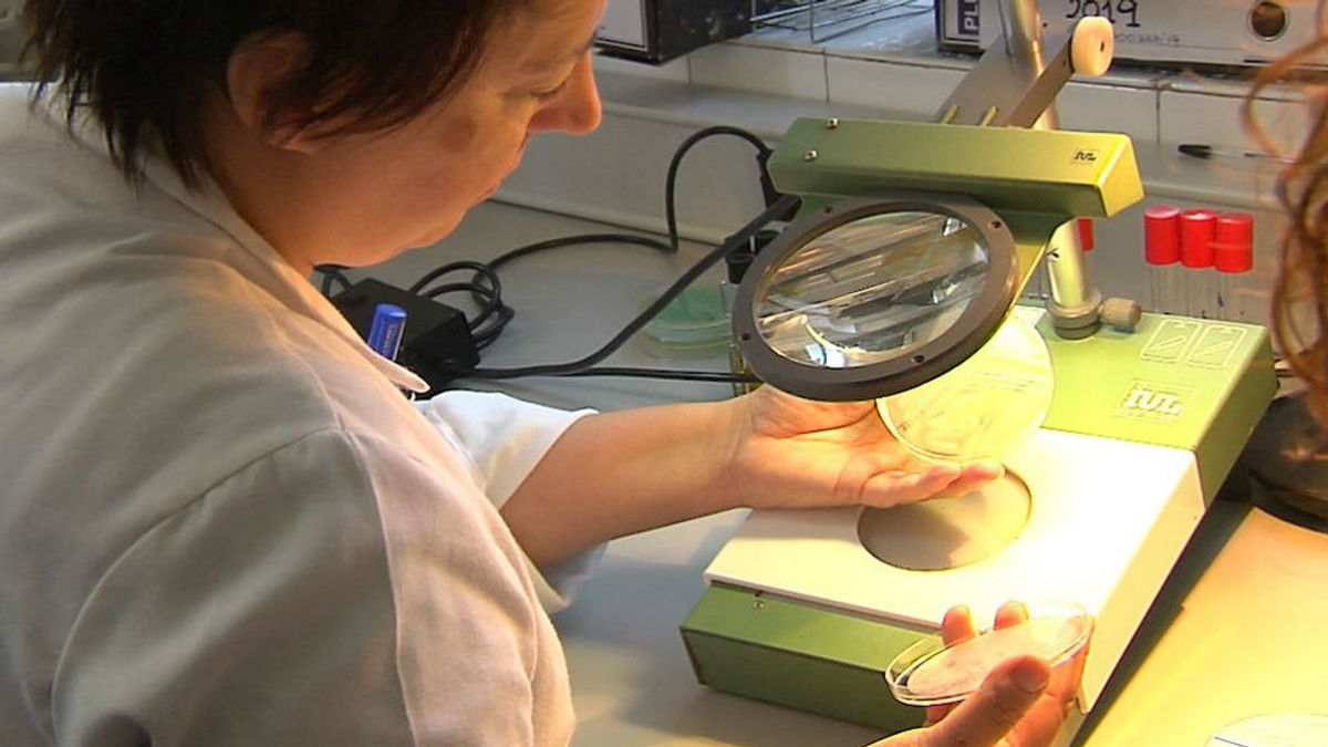 Una investigadora hace un análisis en un laboratorio.