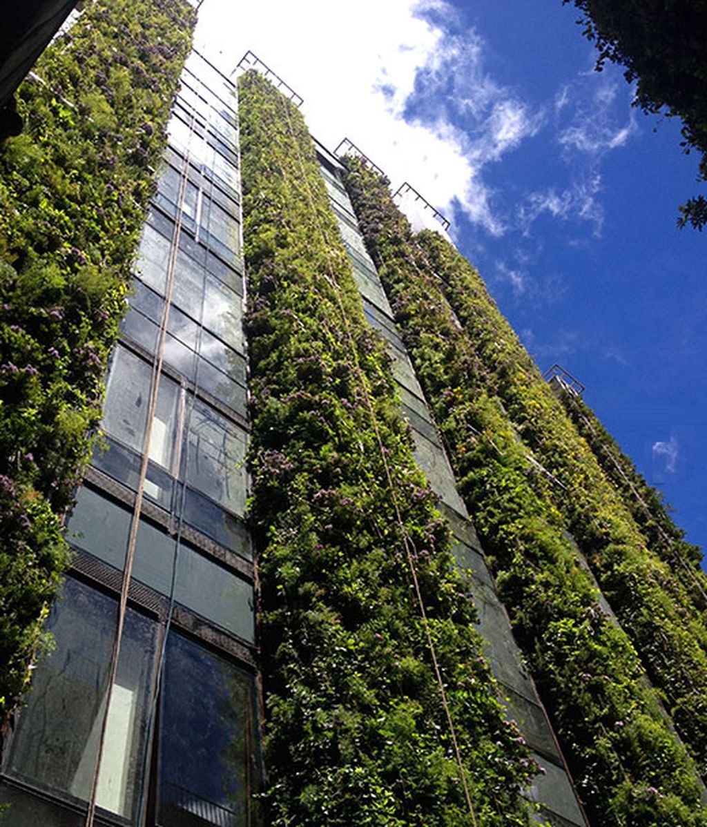 jardin-vertical-mas-grande-del-mundo