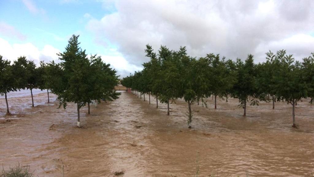 Imágenes del devastador temporal que anega Alicante y Murcia