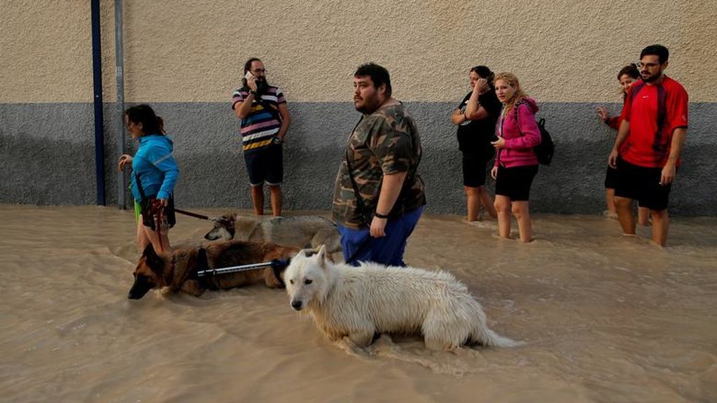 Vecinos de Orihuela con sus mascotas por las calles inundadas